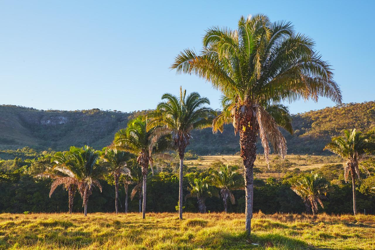 Eit Eco Inteligente Villa Alto Paraíso de Goiás Bagian luar foto